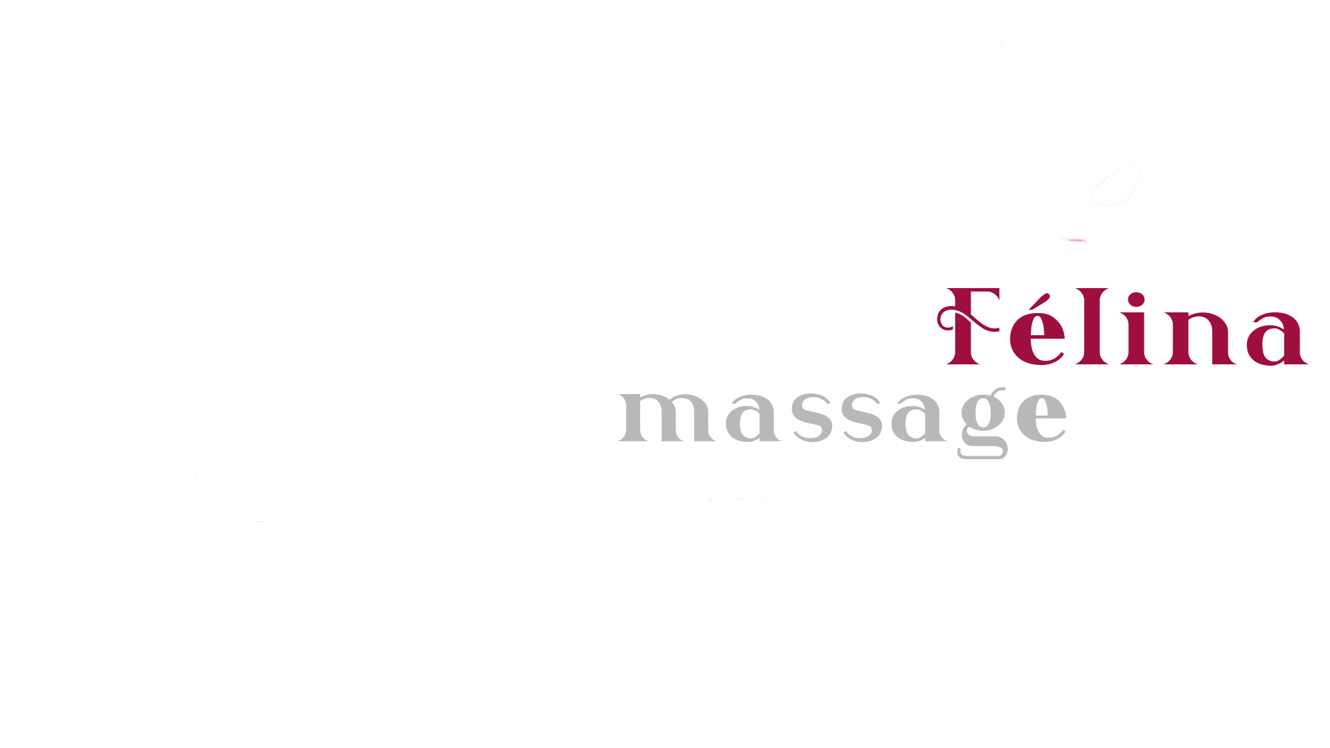 Logo Sex massage Zaventem
